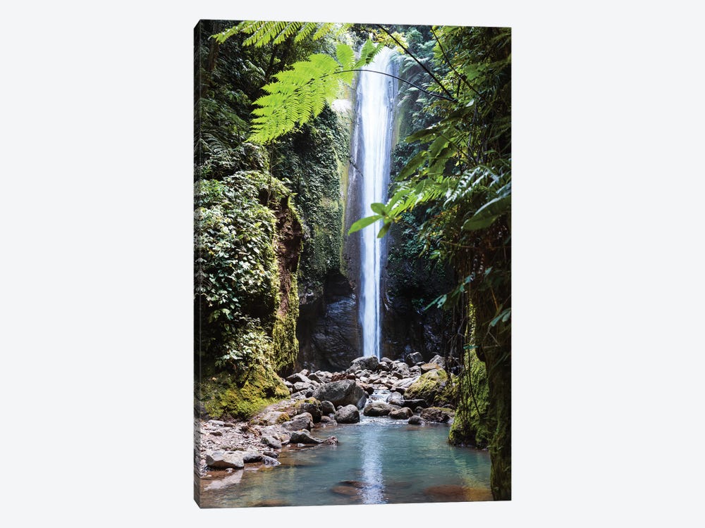 Waterfall In The Jungle, Philippines by Matteo Colombo 1-piece Art Print