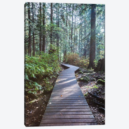 Into The Forest Ii Canvas Print #TEO869} by Matteo Colombo Canvas Wall Art