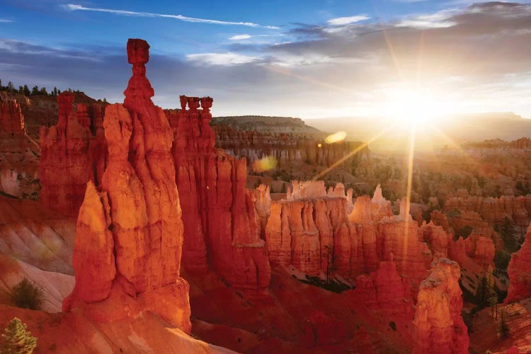 Sunrise, Thor's Hammer, Bryce Canyon National Park, Utah, USA by Matteo Colombo wall art