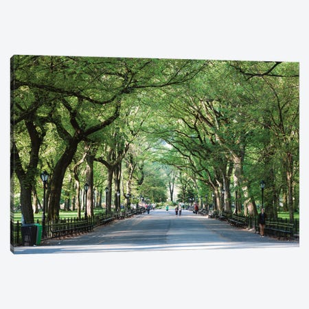 The Mall, Central Park Canvas Print #TEO897} by Matteo Colombo Canvas Art