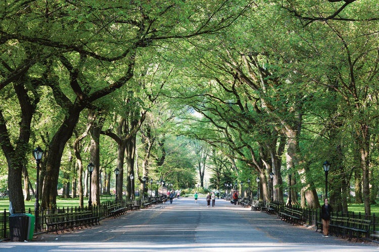 The Mall, Central Park