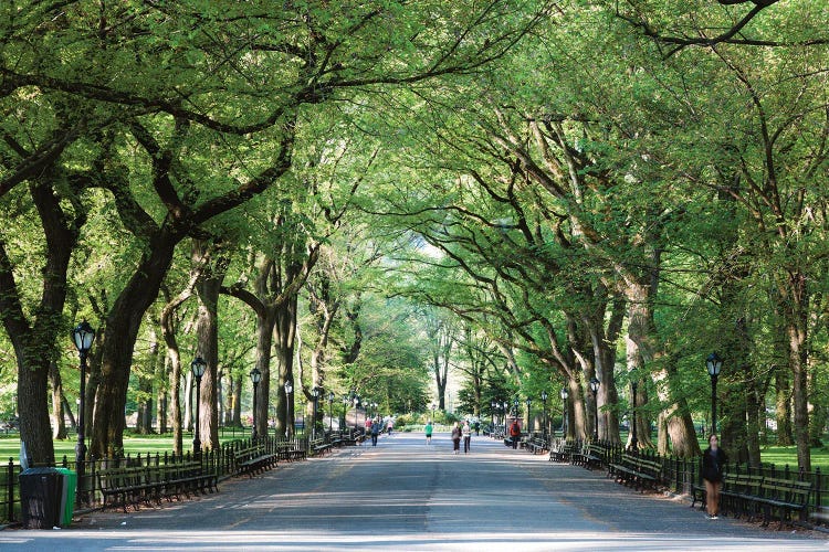 The Mall, Central Park by Matteo Colombo wall art