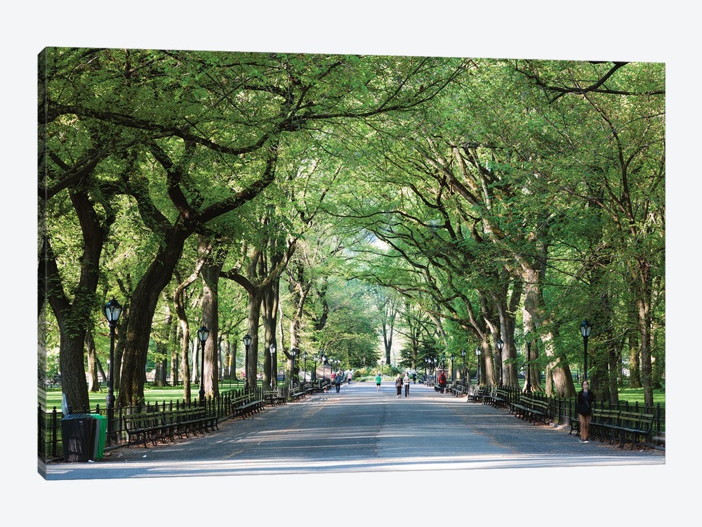 The Mall, Central Park by Matteo Colombo 1-piece Art Print