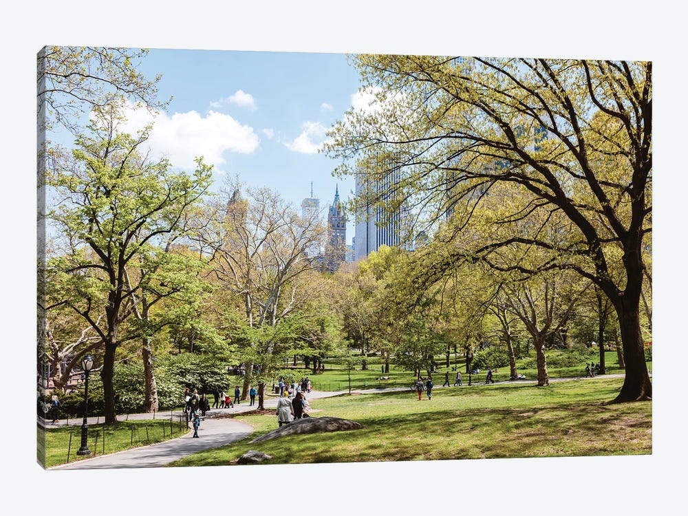 Spring At The Central Park by Matteo Colombo 1-piece Canvas Print