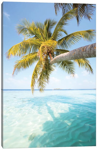 Palm Tree, Maldives Canvas Art Print - Tropical Beach Art