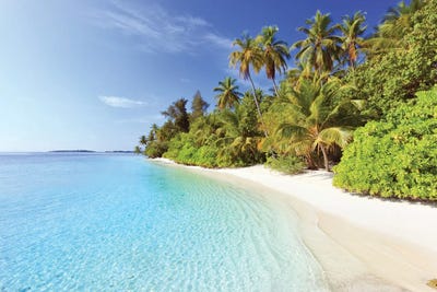 Dream Island I by Matteo Colombo framed wall art