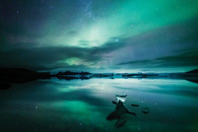 Northern Lights II by Matteo Colombo metal wall art