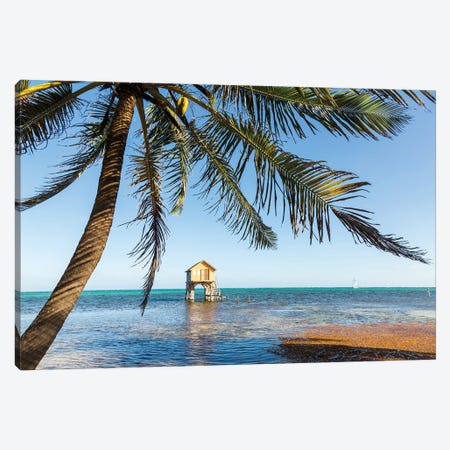 Tropical Vibes, Belize Canvas Print #TEO998} by Matteo Colombo Canvas Art