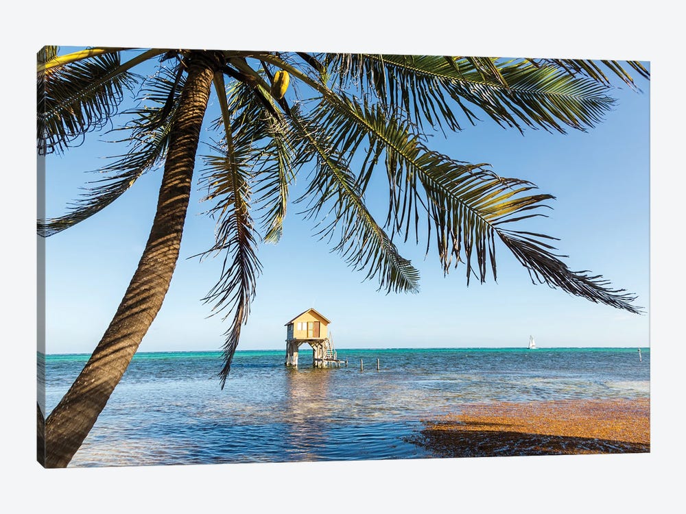 Tropical Vibes, Belize by Matteo Colombo 1-piece Art Print