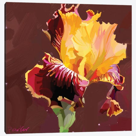 Fire Iris Canvas Print #TEP102} by Teddi Parker Canvas Artwork