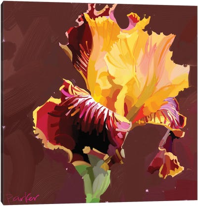 Fire Iris Canvas Art Print - Iris Art