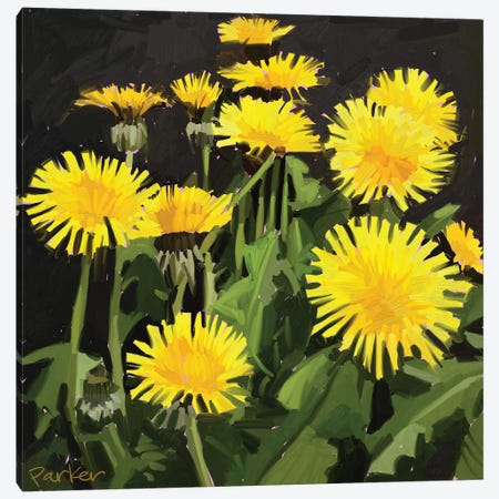 Dramatic Dandelions Canvas Print #TEP10} by Teddi Parker Canvas Artwork