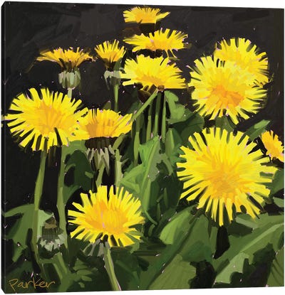 Dramatic Dandelions Canvas Art Print - Teddi Parker 