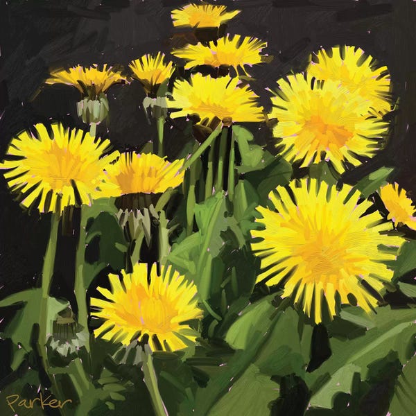 Dandelions: Dramatic Dandelions by Teddi Parker