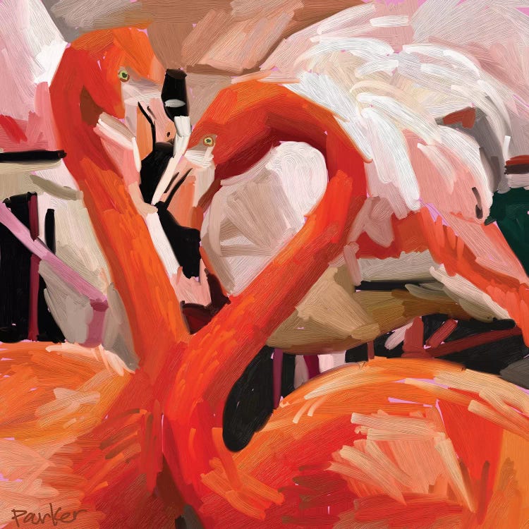 Flamingo Flamboyance