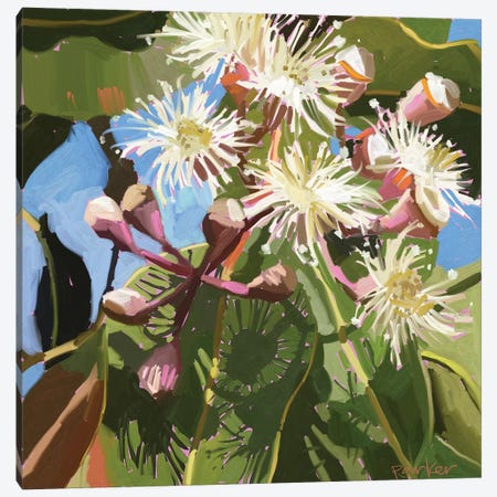 Gum Blossom Canvas Print #TEP13} by Teddi Parker Canvas Artwork