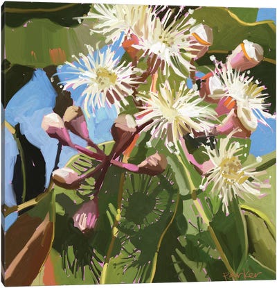 Gum Blossom Canvas Art Print - Teddi Parker 