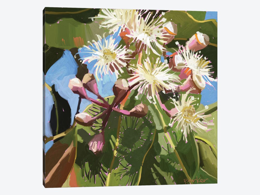 Gum Blossom by Teddi Parker 1-piece Canvas Art Print