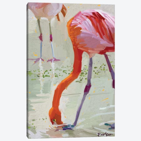 Hungry Flamingo Canvas Print #TEP15} by Teddi Parker Canvas Art Print