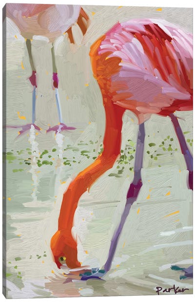Hungry Flamingo Canvas Art Print - Teddi Parker 