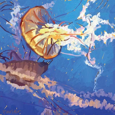 Jellyfish by Teddi Parker framed canvas print