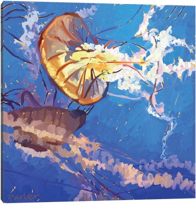 Jellyfish Canvas Art Print - Teddi Parker 
