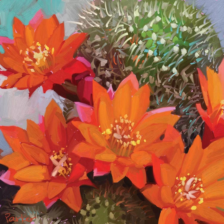 Orange Cactus by Teddi Parker wall art