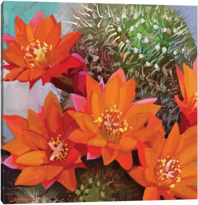 Orange Cactus Canvas Art Print - Textured Florals