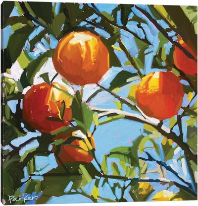 Orange Tree Canvas Art Print - Gardening Art