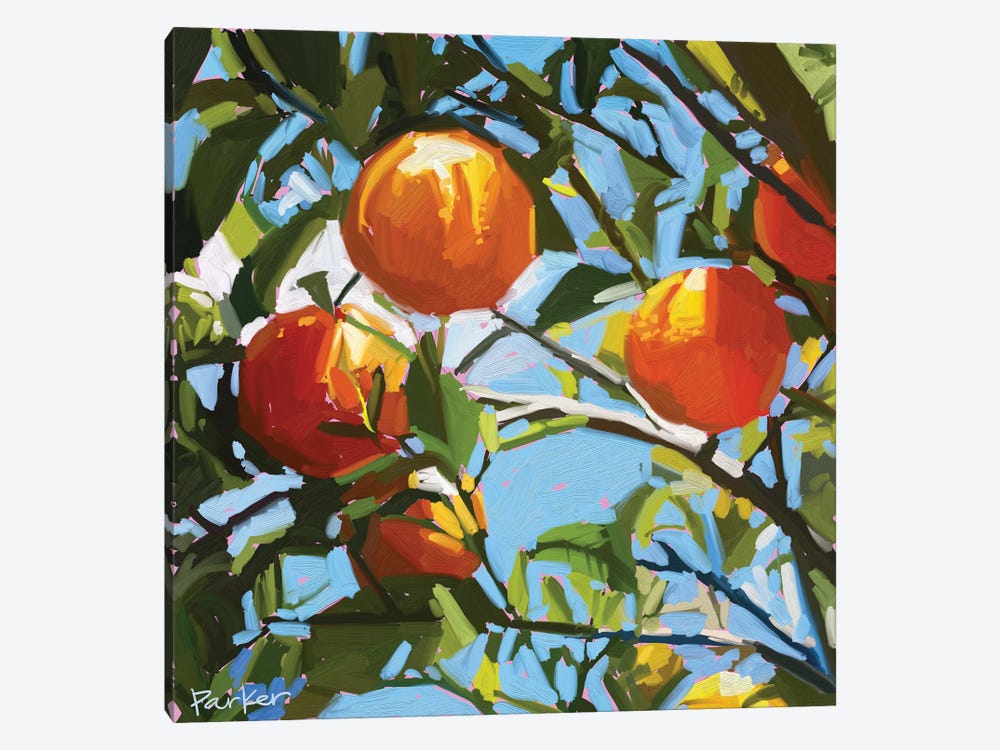 Orange Tree by Teddi Parker 1-piece Art Print