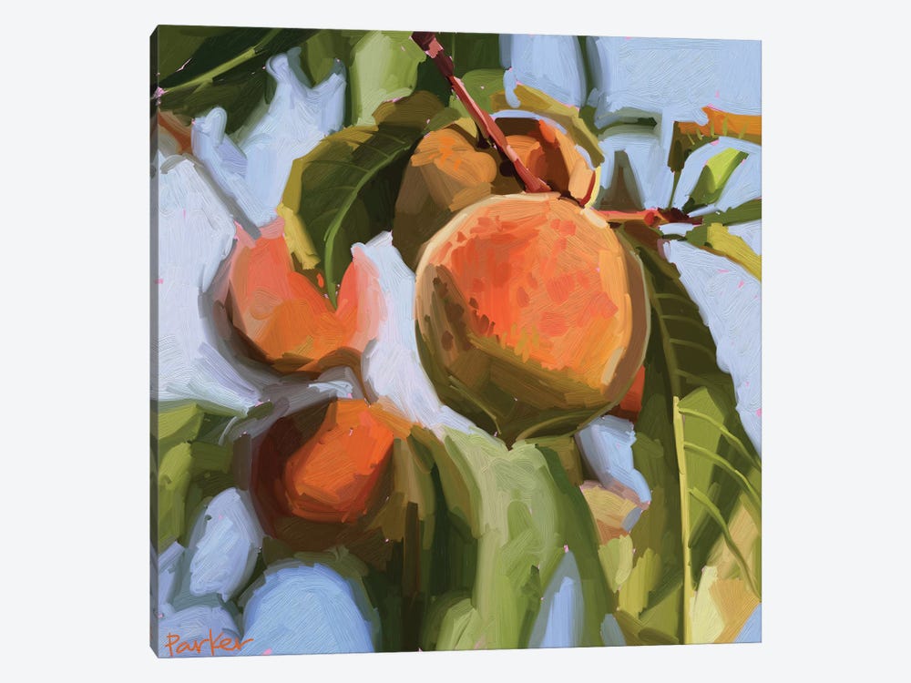 Peach Fuzz by Teddi Parker 1-piece Canvas Art Print