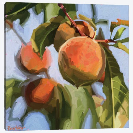 Peach Fuzz Canvas Print #TEP22} by Teddi Parker Art Print