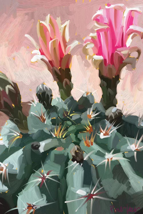 Pink Cactus