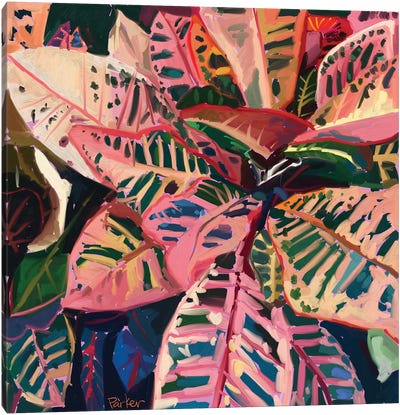 Pink Croton Canvas Art Print - Teddi Parker 