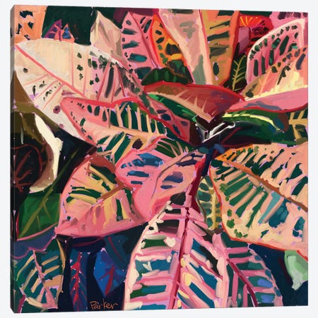 Pink Croton Canvas Print #TEP24} by Teddi Parker Canvas Wall Art