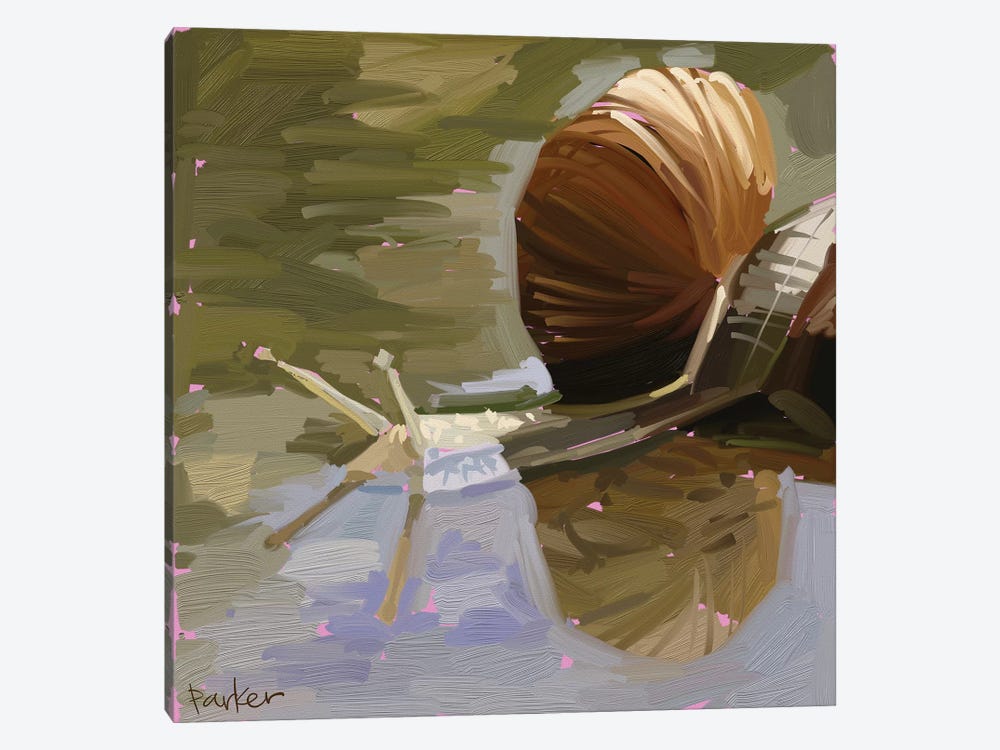 Snail by Teddi Parker 1-piece Canvas Art Print