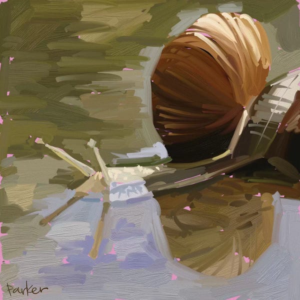 Snails: Snail by Teddi Parker