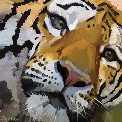 Tiger Eye by Teddi Parker canvas print