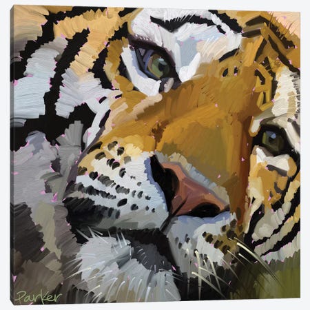 Tiger Eye Canvas Print #TEP31} by Teddi Parker Canvas Art