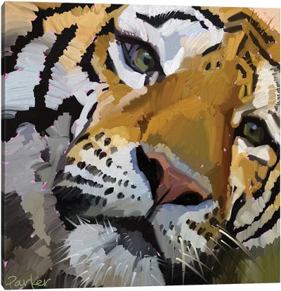 Tiger Eye Canvas Art Print - Teddi Parker 