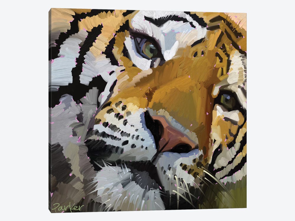 Tiger Eye Canvas Art Print By Teddi Parker Icanvas - Colorful Tiger Eye Painting