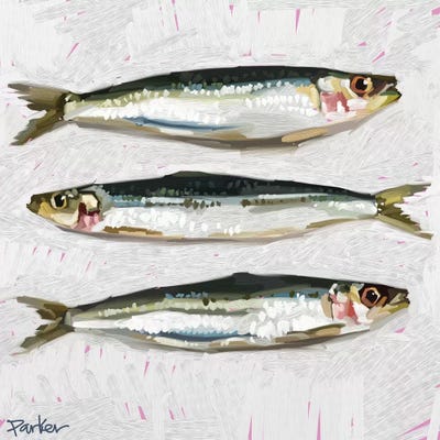 Sardines by Teddi Parker framed canvas print