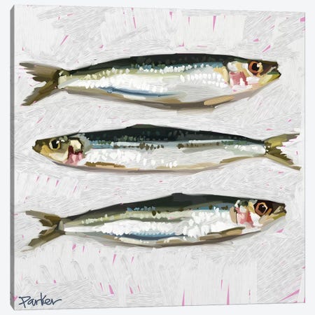 Sardines Canvas Print #TEP39} by Teddi Parker Canvas Artwork