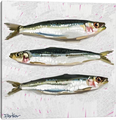 Sardines Canvas Art Print - Teddi Parker 