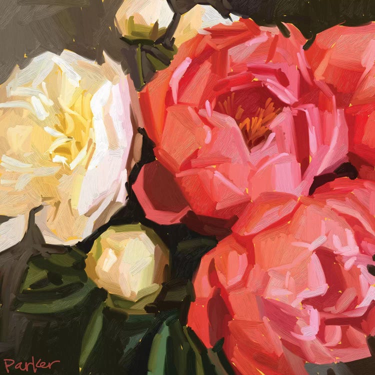 Coral Peonies