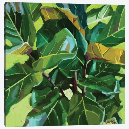 Fiddle Leaf Canvas Print #TEP43} by Teddi Parker Art Print