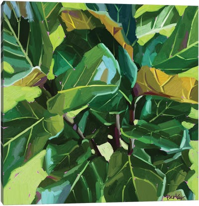 Fiddle Leaf Canvas Art Print - Teddi Parker 