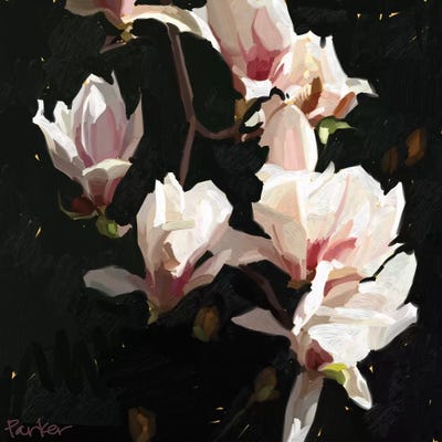 Magnolia Drama by Teddi Parker canvas print