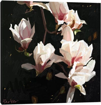 Magnolia Drama Canvas Art Print - Teddi Parker 