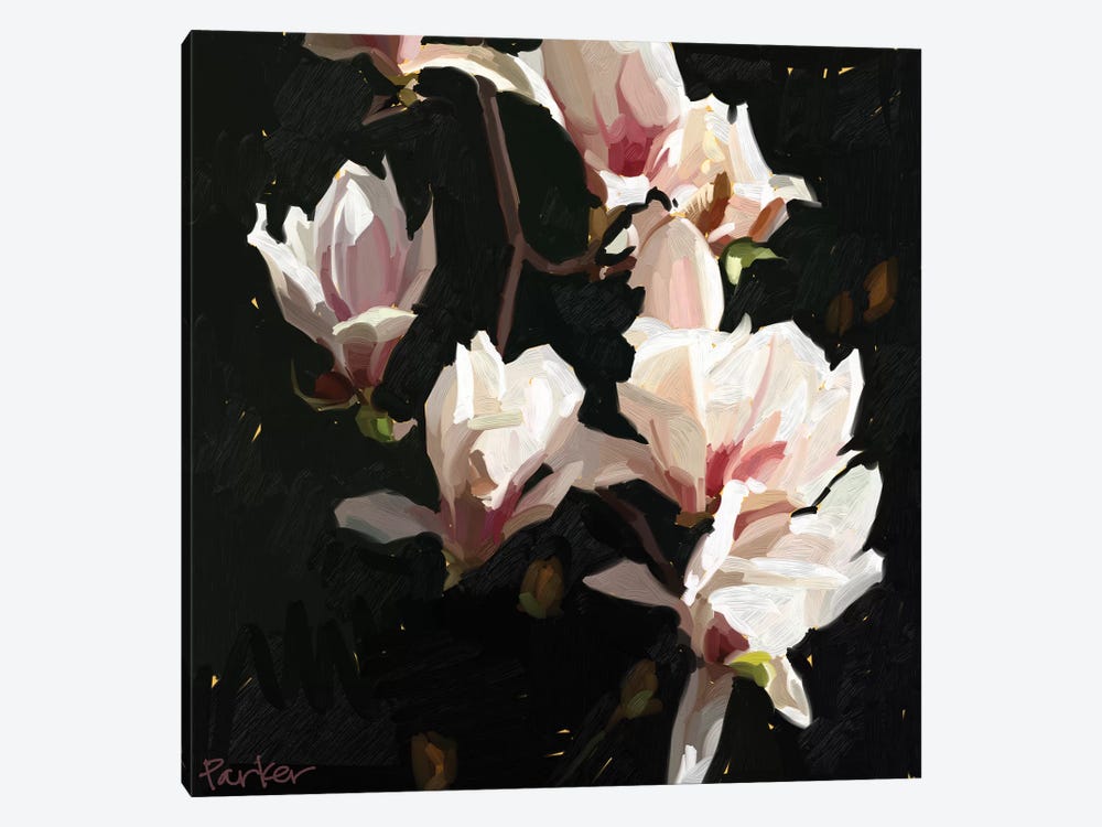 Magnolia Drama by Teddi Parker 1-piece Canvas Art